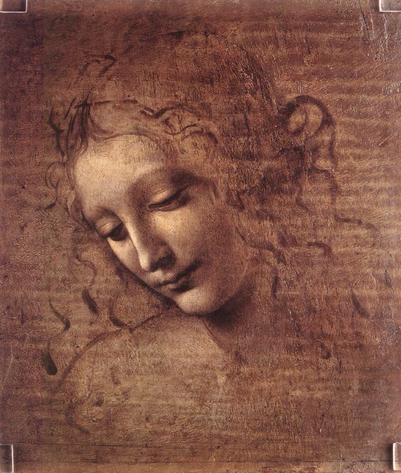 Head of a Young Woman with Tousled Hair By Da Vinci